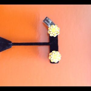 Banana republic earring